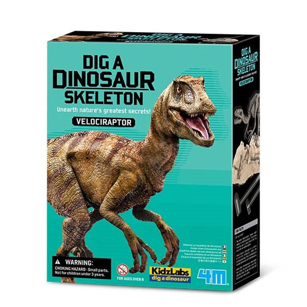 4M Dig a Dinosaur