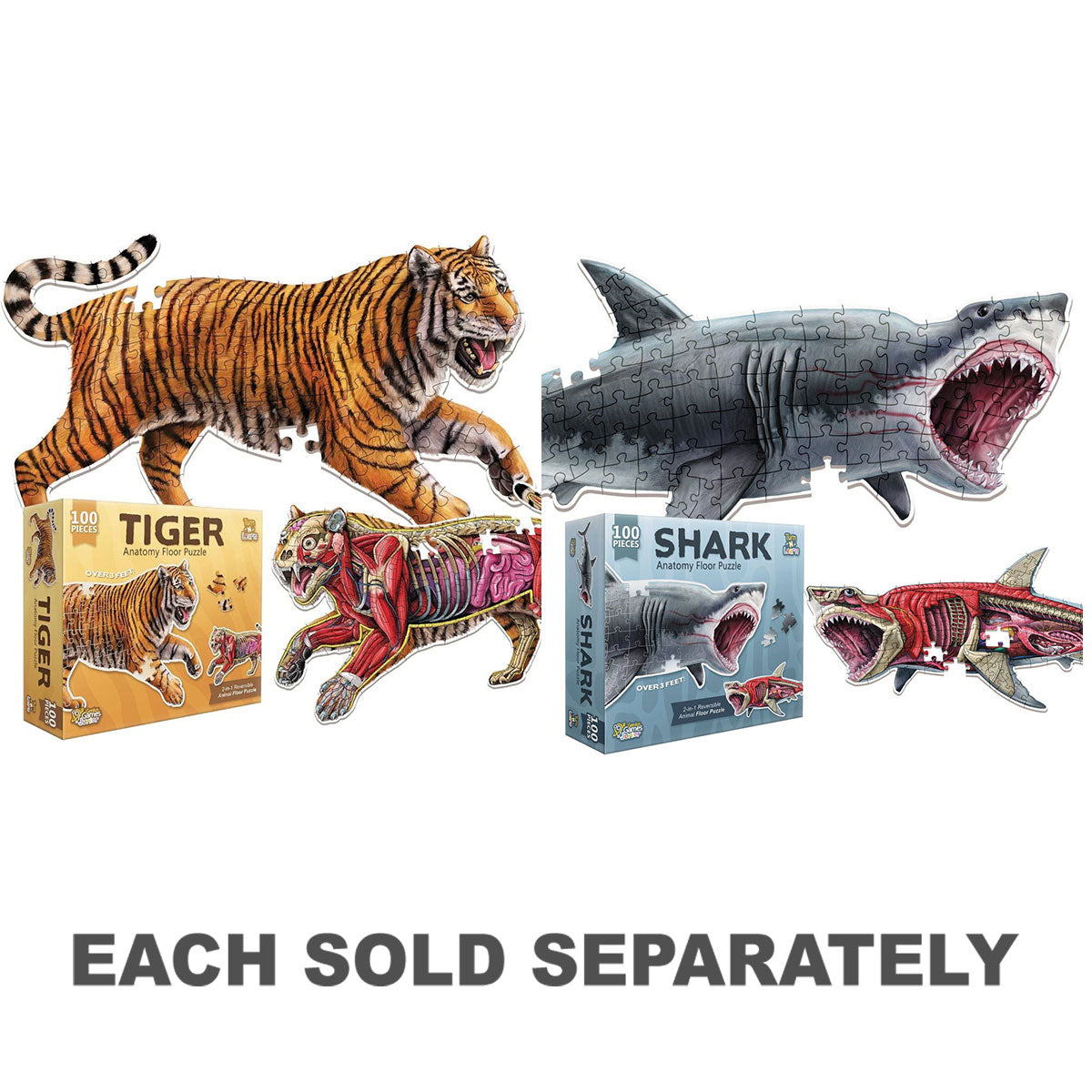 Anatomy Floor Puzzle