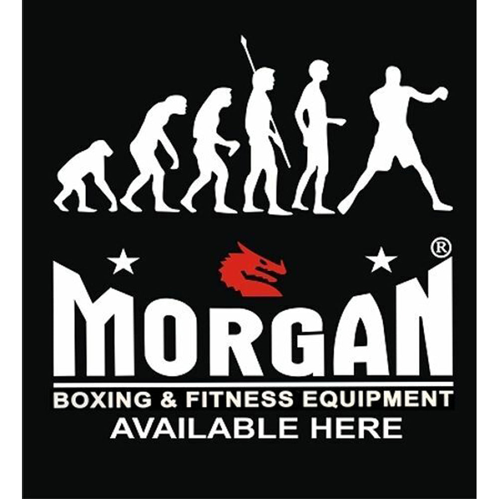 Morgan Evolution Banner