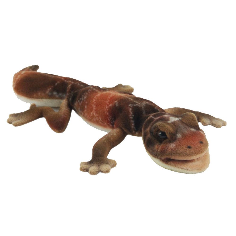 Knob Tailed Gecko Plush Toy 26cm (Beige)
