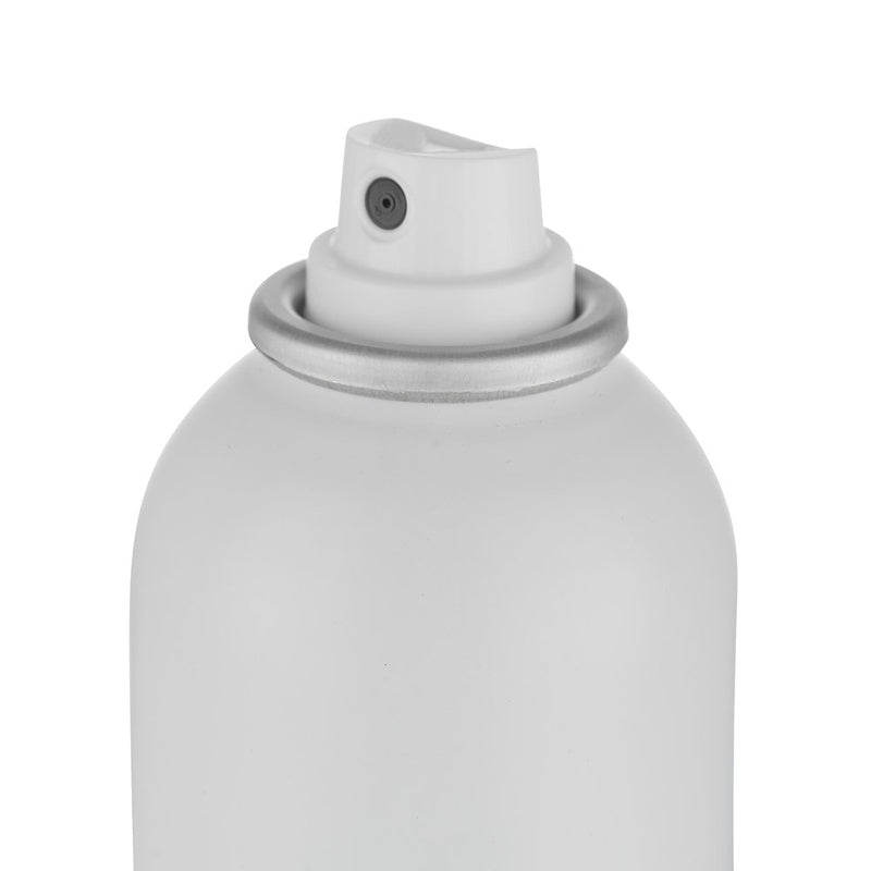 Aluram Finishing Spray 284g