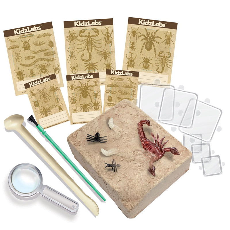 4M KidzLabs Creepy Crawly Digging Kit