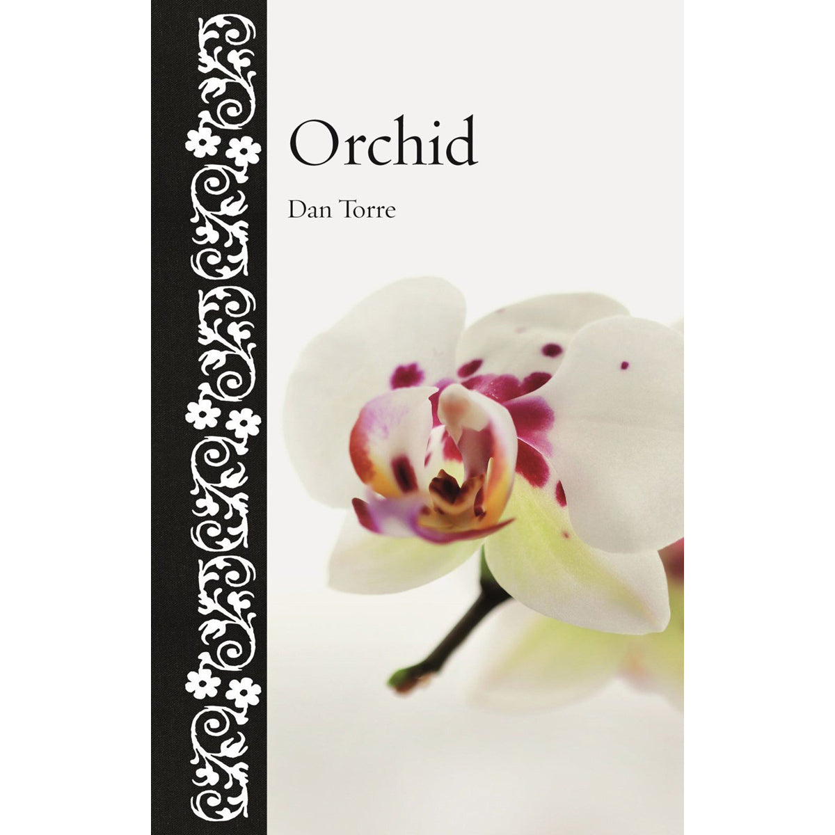 Orchid: Natural History Illustrated Guide