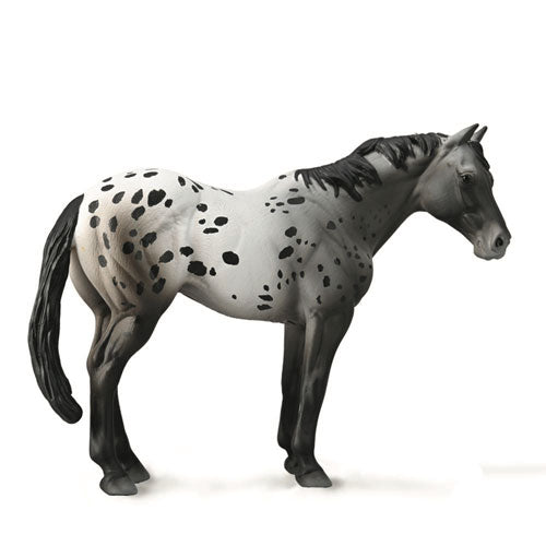 CollectA Appaloosa Stallion Figure (XL)