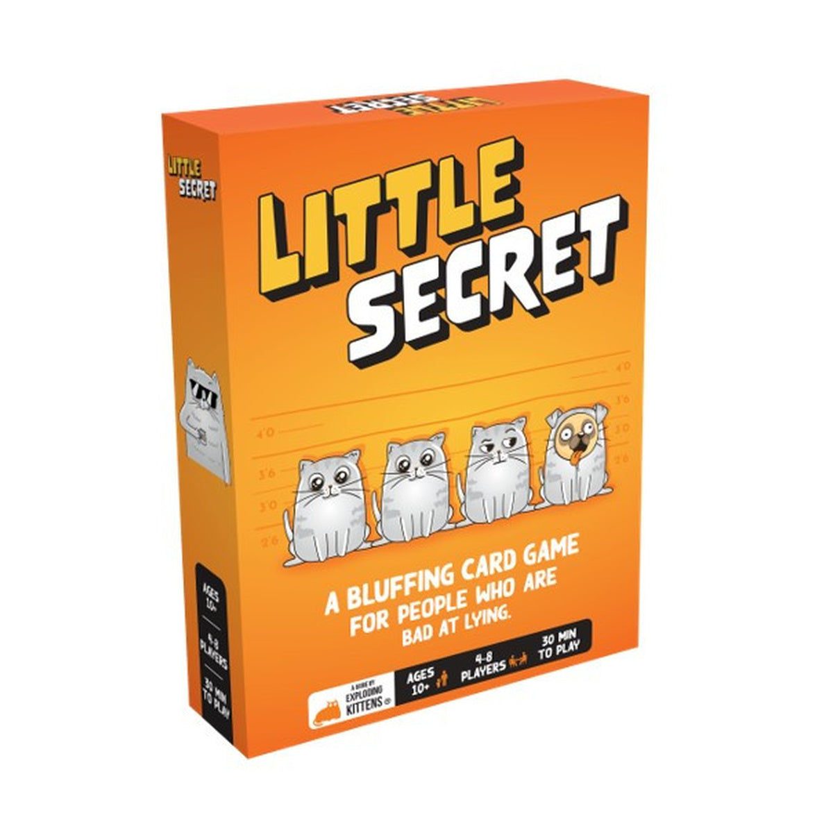 Little Secret Party Card Game