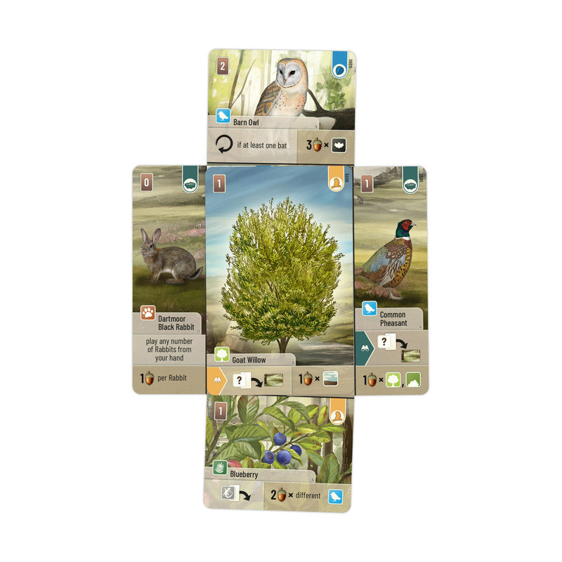 Forest Shuffle Dartmoor Board Game