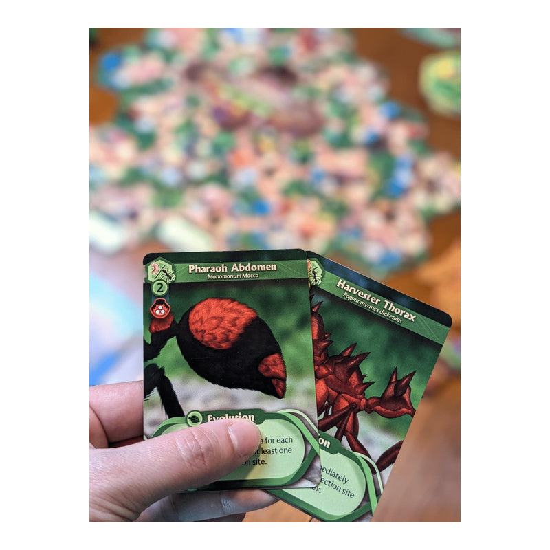 March of the Ants Evolved Edition Board Game