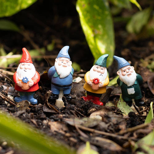 Mini Gnome Plant Pot Pals (Set of 4)