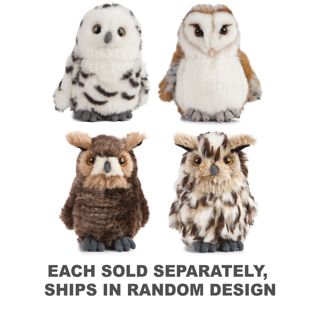Living Nature Owls