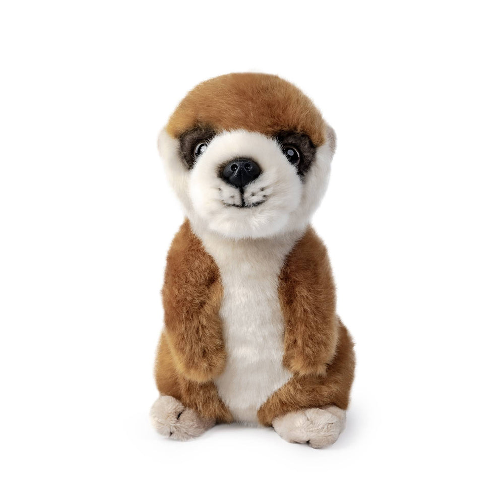 Living Nature Meerkat Pup