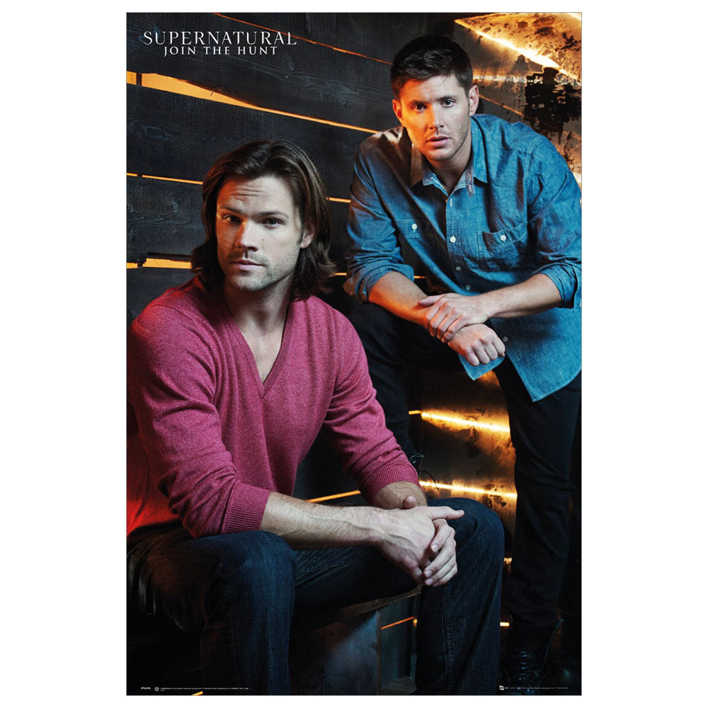 Supernatural Brothers Poster