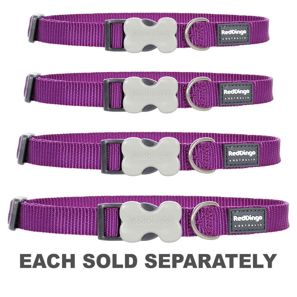 Classic Dog Collar (Purple)